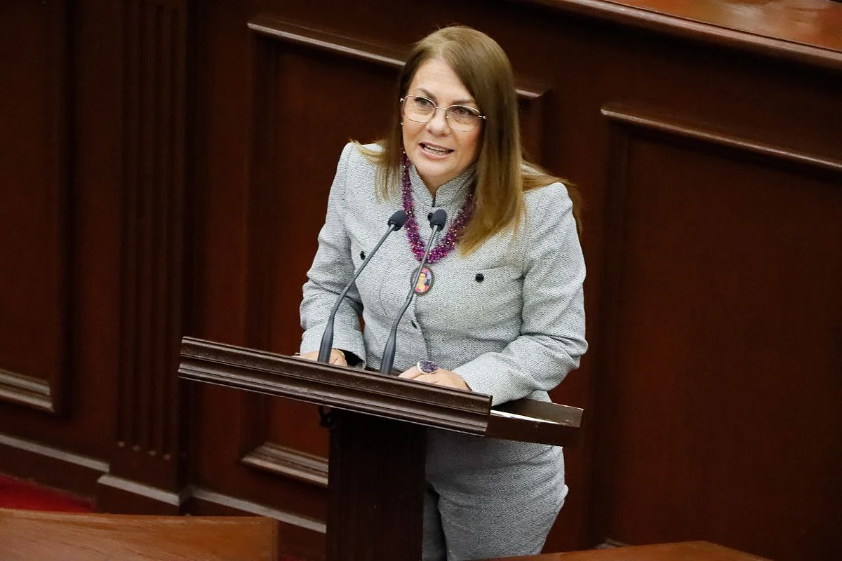 Legislar por la familia con bases internacionales: diputada Luz María García