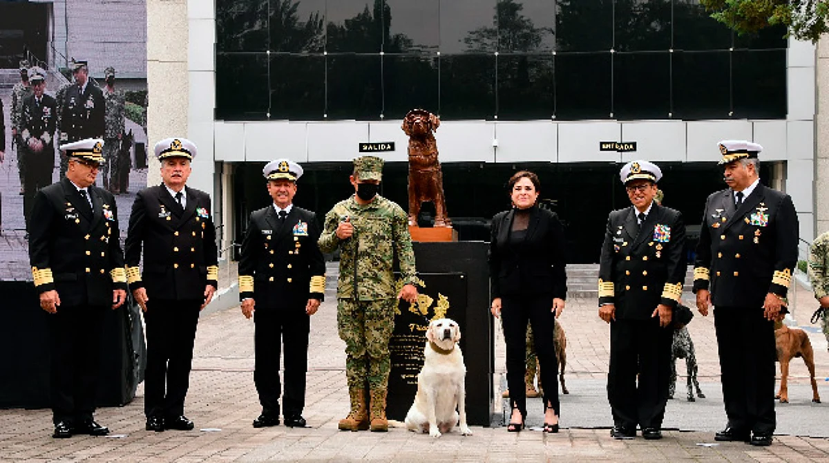 Develan estatua de Frida, perrita rescatista que se volvió famosa tras sismo