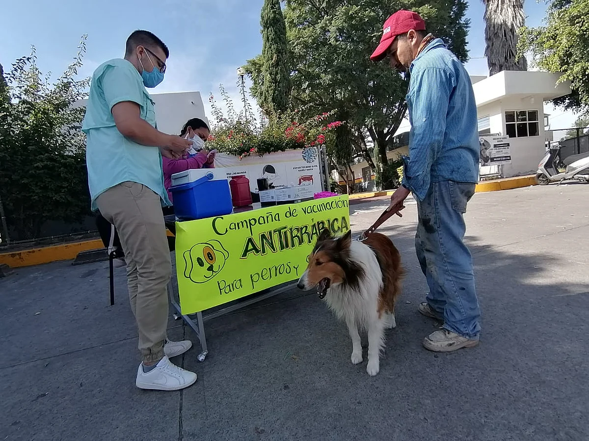 Brigadas visitan localidades de difícil acceso o comunidades alejadas
