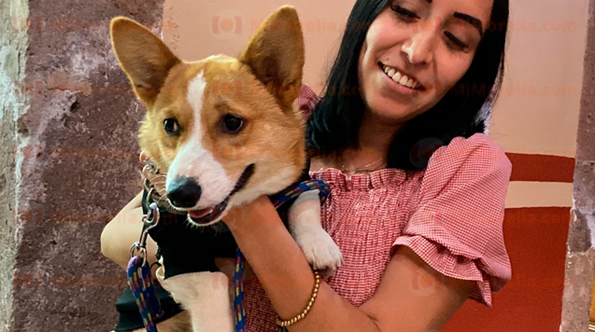 Los jóvenes realizaron seis cápsulas informativas sobre el cuidado y respeto a los perritos y gatos