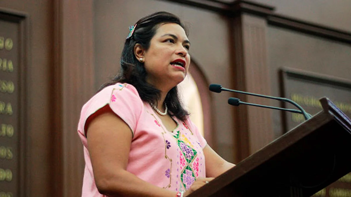 La diputada dejó en claro que esta acción tiene como fin el bien de la ciudadanía