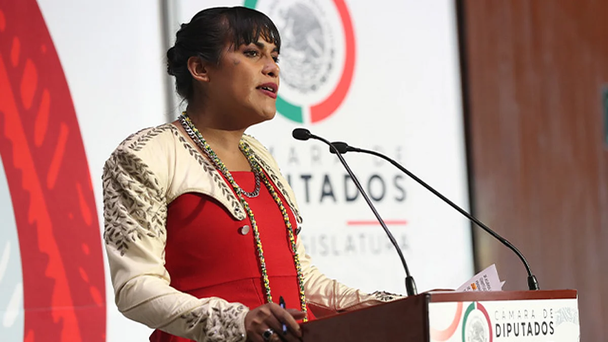 La diputada de Morena busca adicionar un capítulo XVIII “Del Trabajo Sexual” y los artículos 353-V, 353-W y 353-X al título sexto de la Ley Federal del Trabajo