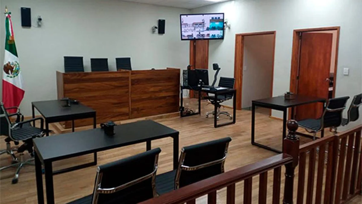 Generan las condiciones necesarias para el correcto desarrollo de las audiencias y garantizan el respeto a los derechos humanos