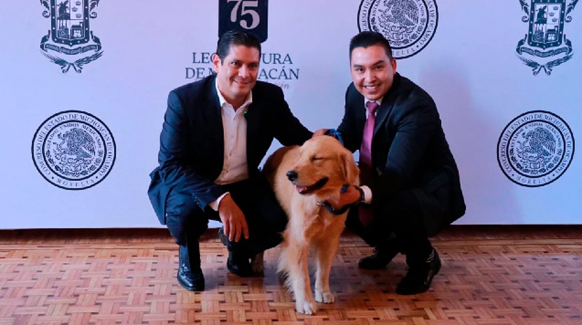 Plantea Ernesto Núñez crear Programa Estatal de Reinserción Canina