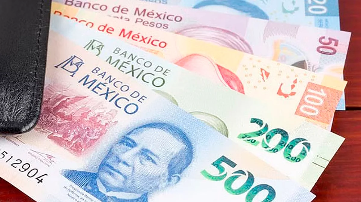 Pago de pensión para personas de 30 a 64 años con discapacidad sería este mes