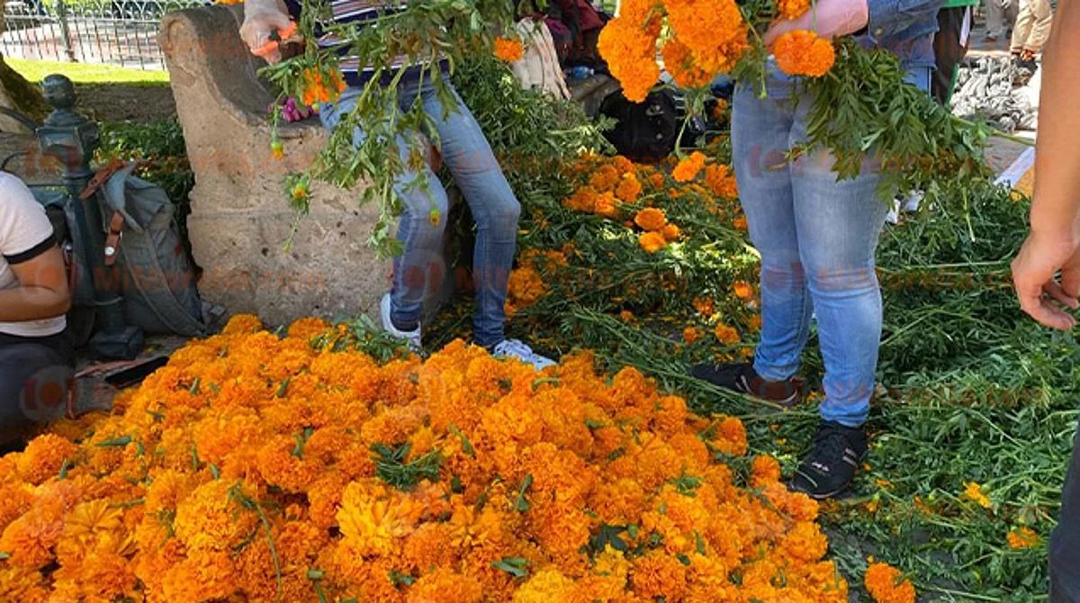 ¿Cuánto cuesta poner un altar de muertos? Estos son los precios en Morelia