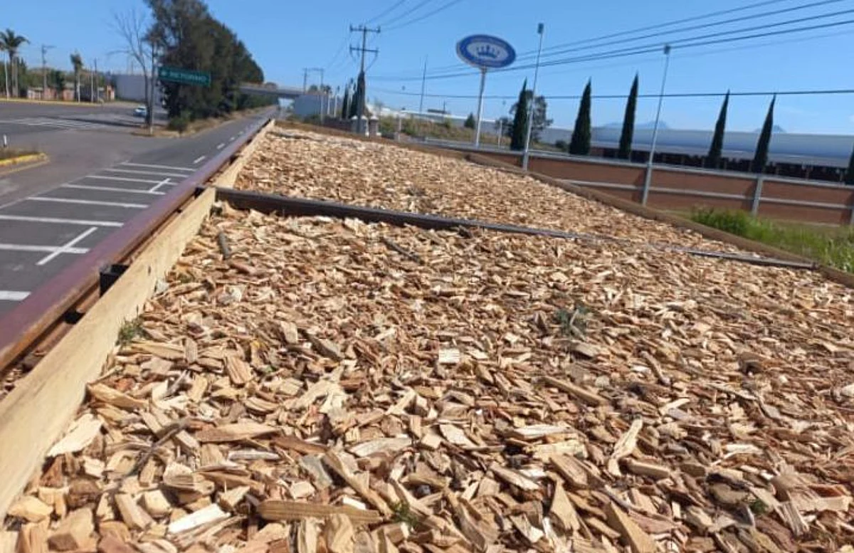 Guardia Civil asegura tráiler cargado con madera de dudosa procedencia