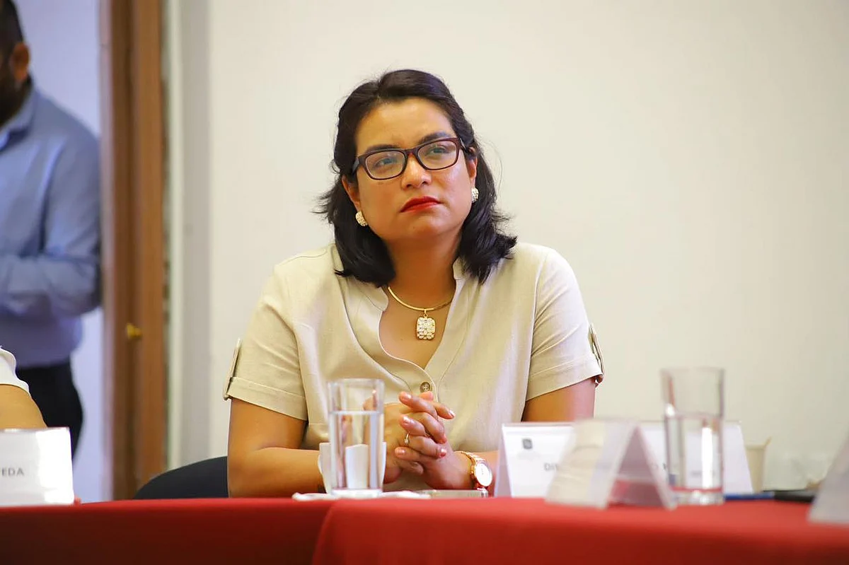 Diputada propone reducir de 5 a 3 magistrados en el TEEM: "son demasiados"