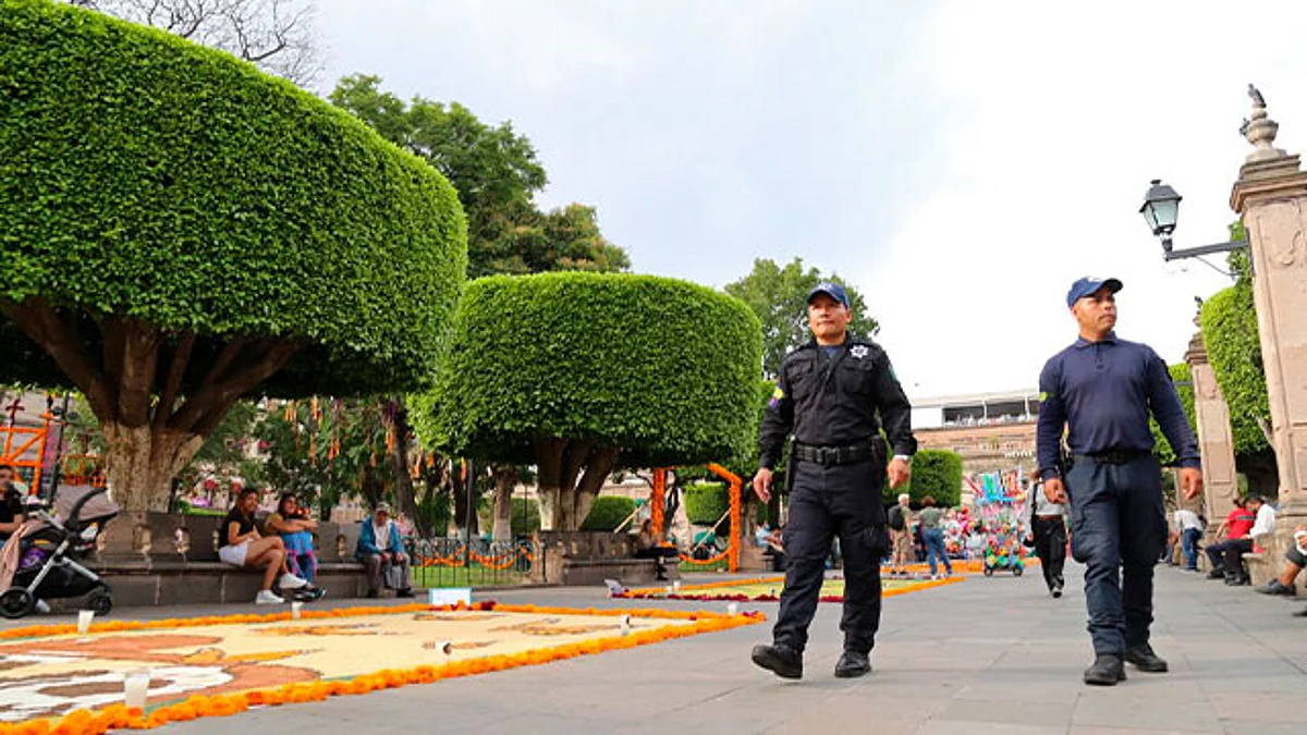 La finalidad es brindar mayor seguridad y tranquilidad a los michoacanos