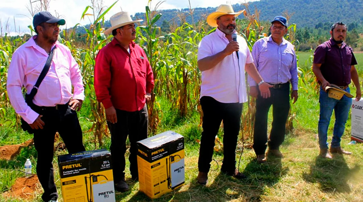 Apuesta, Ayuntamiento de Pátzcuaro a producción agrícola y orgánica en el municipio