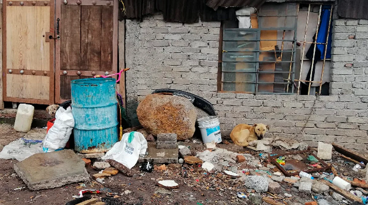 Reportan maltrato animal en Morelia; así llueva y truene siempre están afuera