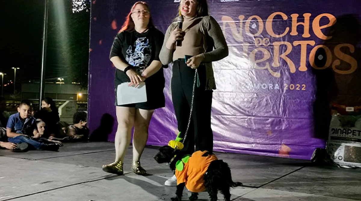 Exitoso, desfile de disfraces caninos en Zamora