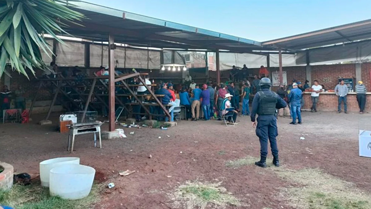Tras denuncia, SSP desactiva pelea de gallos clandestina en Zitácuaro