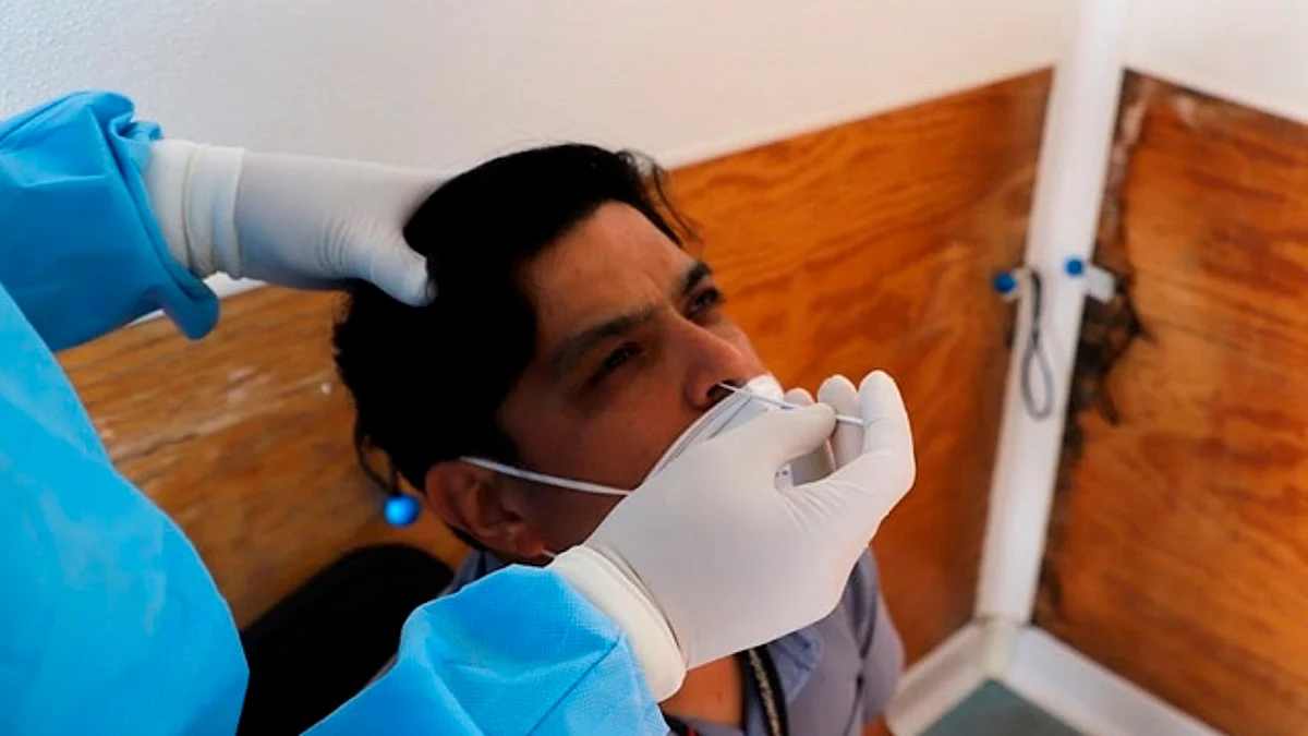 Variante "Perro del Infierno", más contagiosa y con casi 100 casos en México