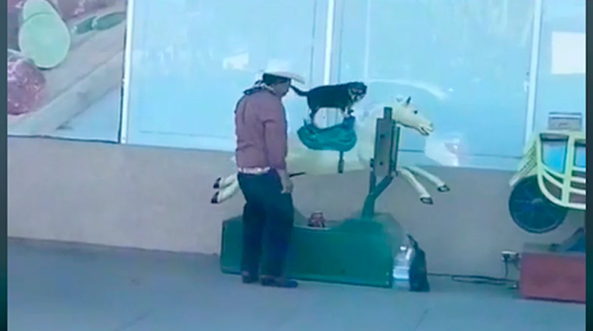 Reportan muerte del señor que subió a su perrita a juego mecánico