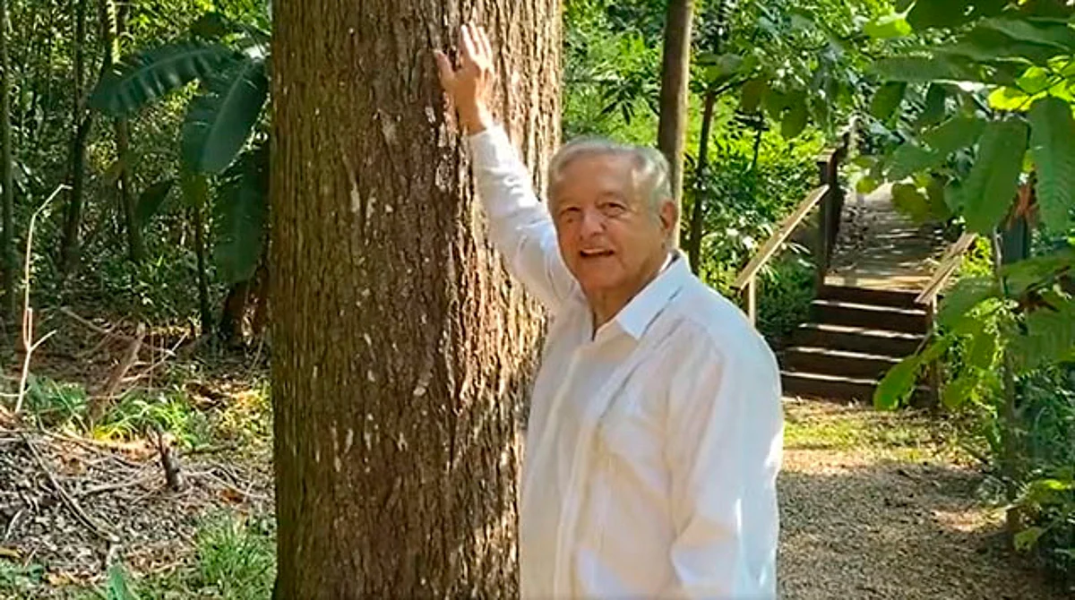 AMLO agradece muestras de cariño; le llevaron mariachi hasta su casa