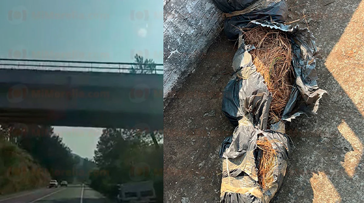 Michoacán: bulto colgado en puente de la Siglo XXI genera pánico en Día de Muertos; era paja
