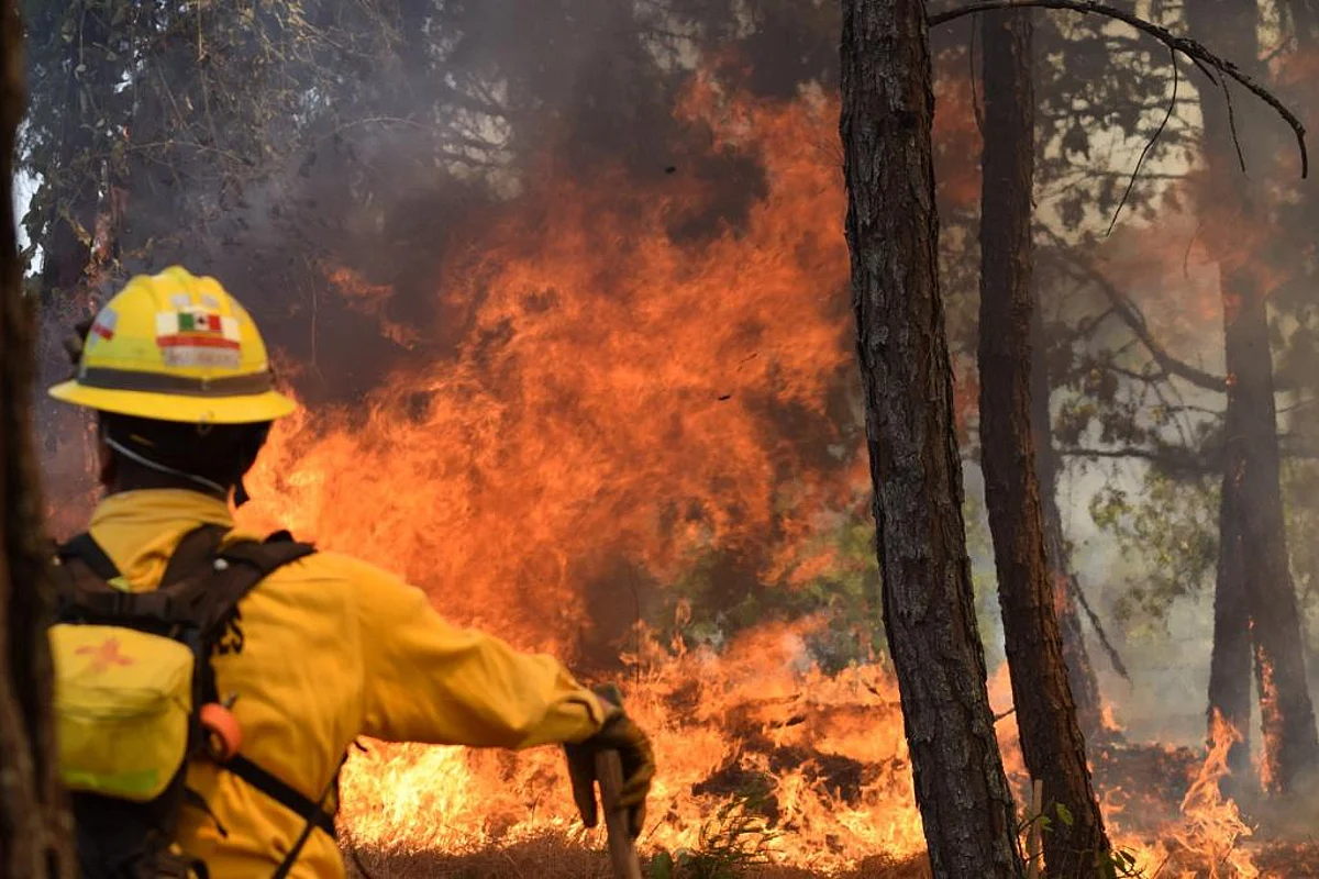 Aumentará presupuesto para combatir incendios en Michoacán: Bedolla