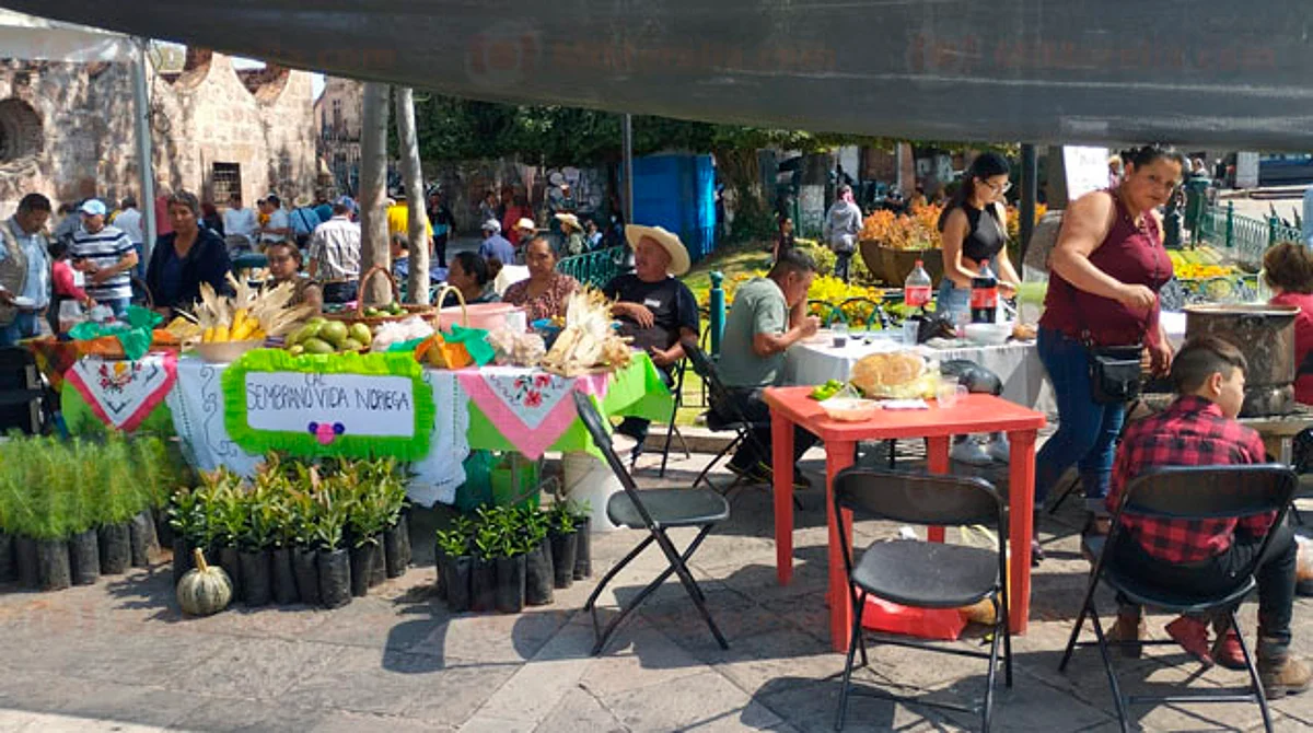 "Sembrando Vida" realiza primer tianguis campesino en Morelia