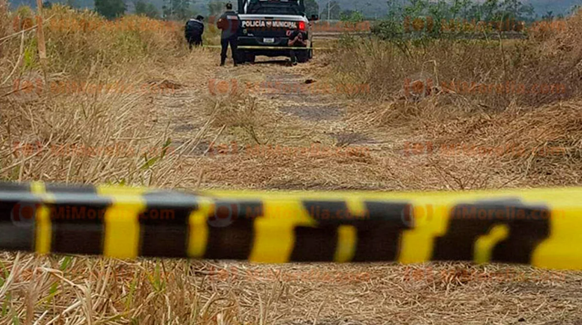 Michoacán: hallan cuerpo carcomido por animales en una parcela