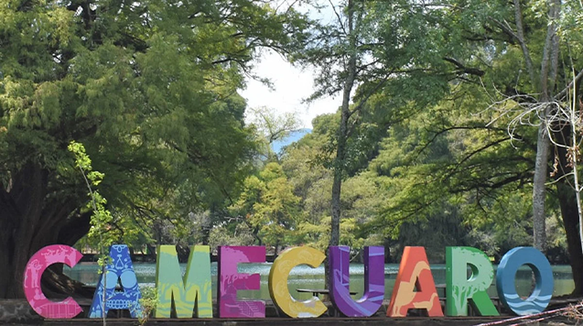 Continúa reforestación en Tangancíacuaro para recuperar el lago de Camécuaro
