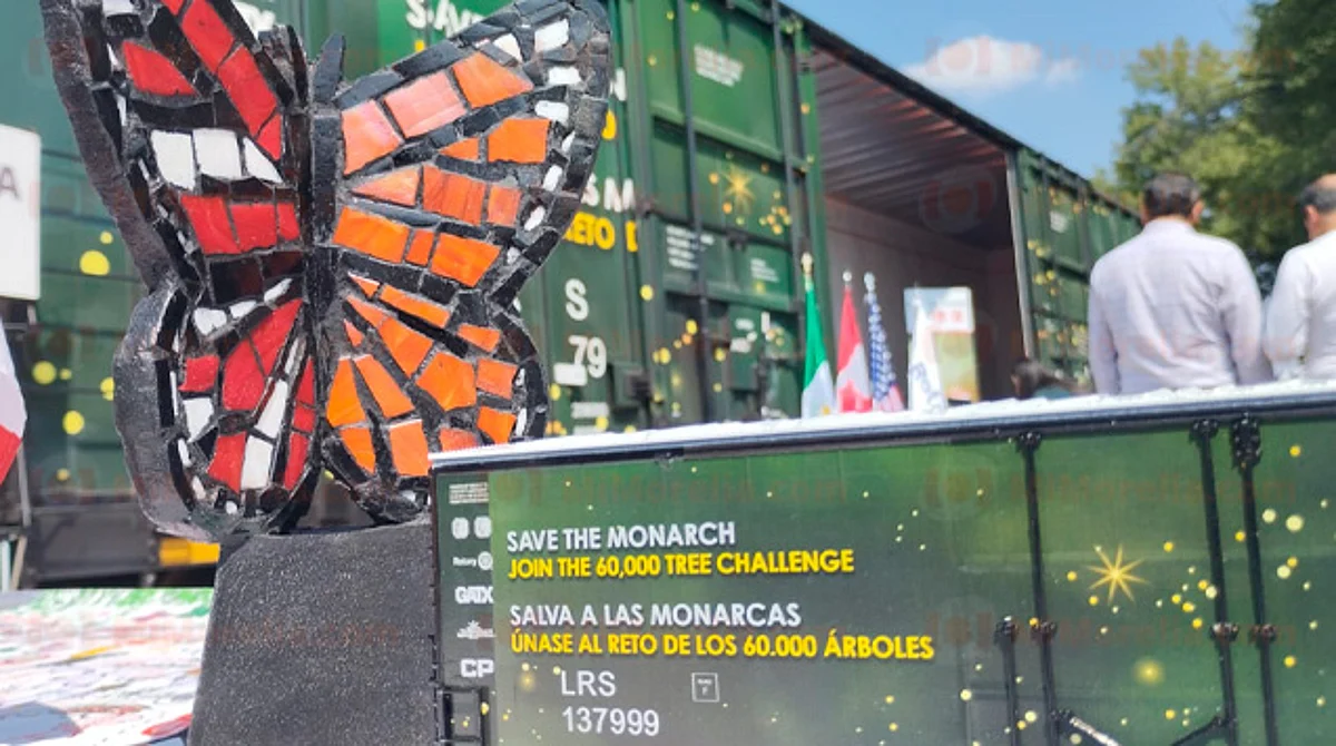 Reforestará KCSM con 60 mil árboles el santuario de la mariposa Monarca de Michoacán