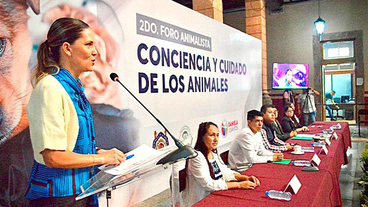 Trabaja 75 Legislatura en incremento a penas por maltrato animal: Daniela de los Santos