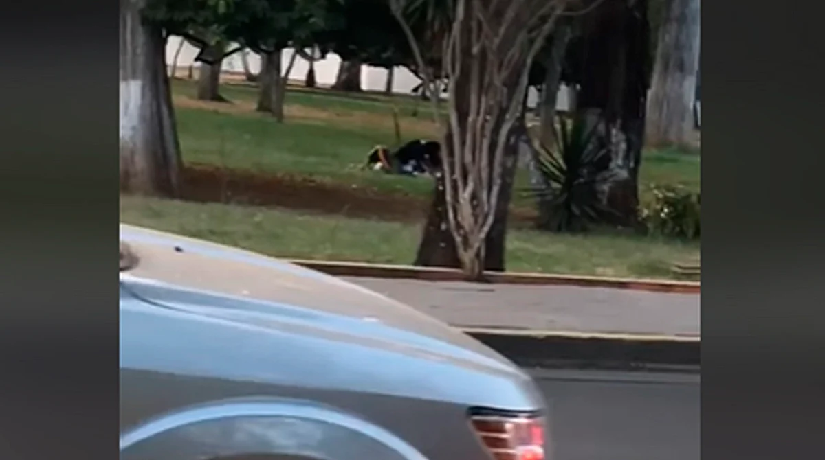 Captan a chavos en presunta actividad sexual en el bosque de Morelia