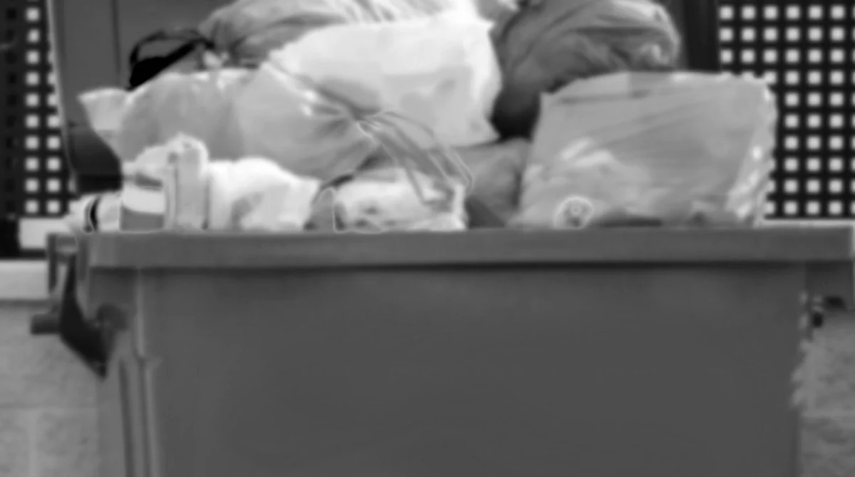 Pepenadora halla bebé prematuro en contenedor de basura; murió horas después