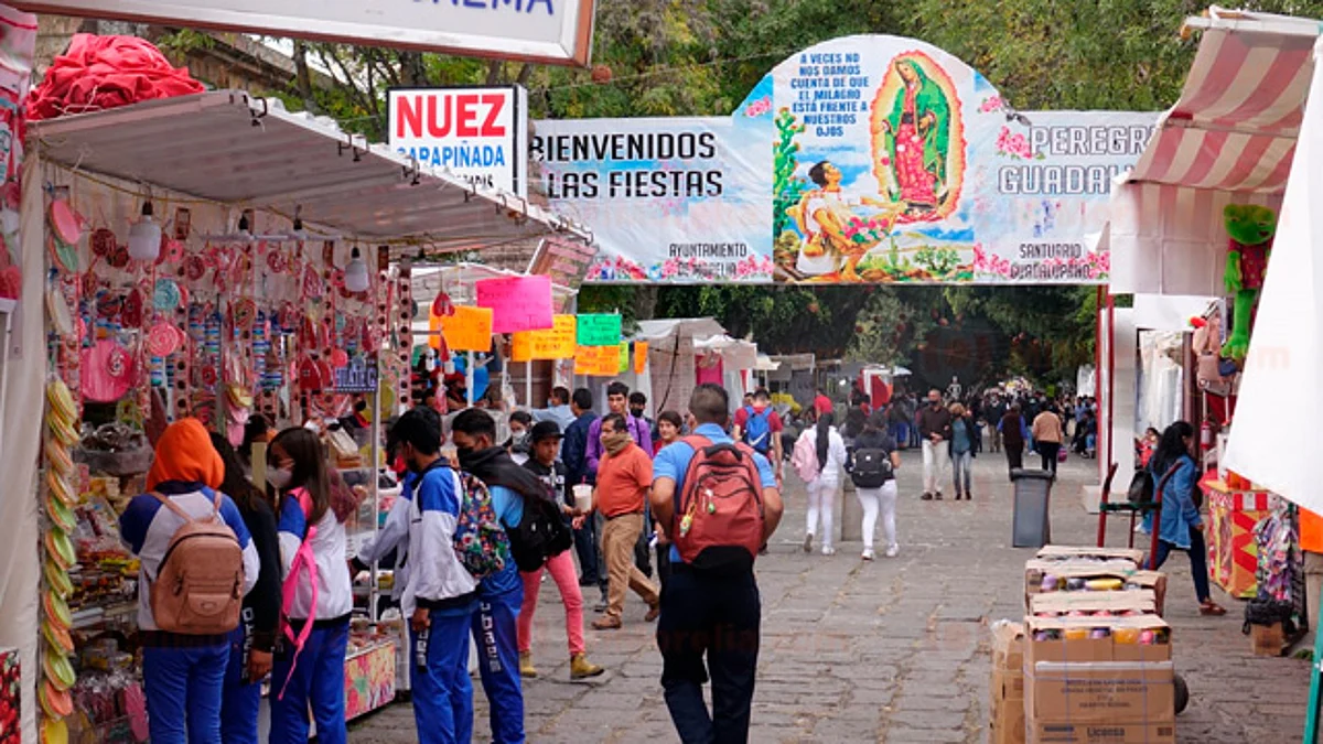 Coepris atendió reporte de fauna nociva durante fiestas guadalupanas en Morelia