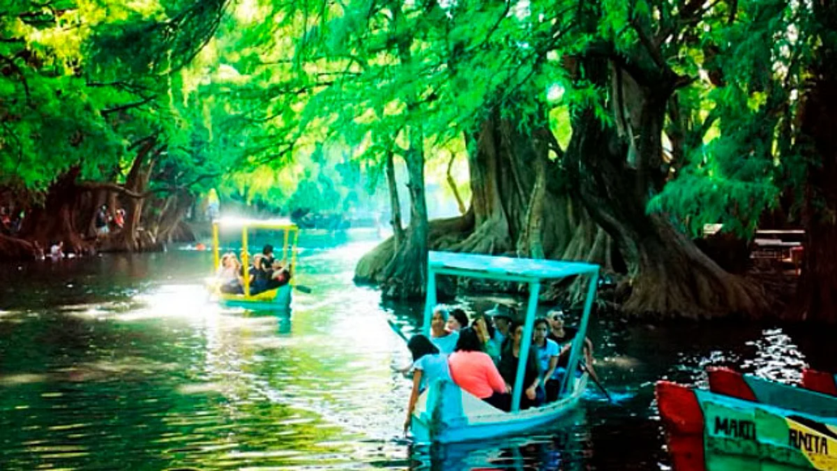 El objetivo es convertir al Parque Nacional Lago de Camecuaro en el mejor parque ecológico, educativo y ambiental del país
