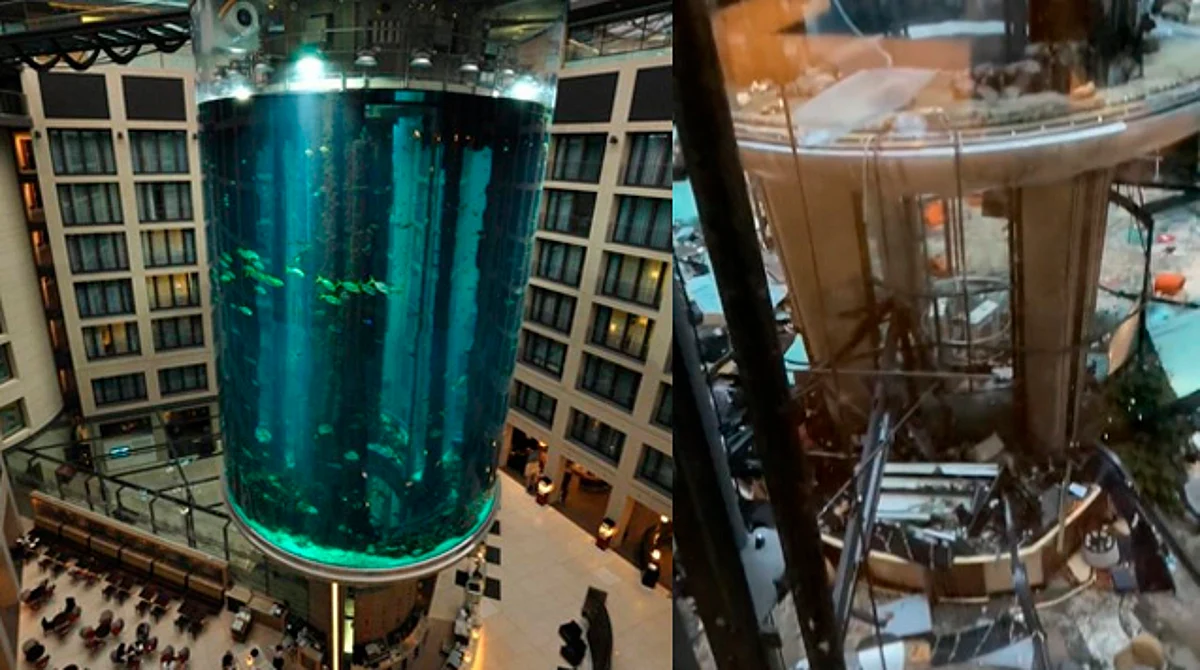 Revienta el acuario cilíndrico más grande del mundo; hay miles de peces muertos