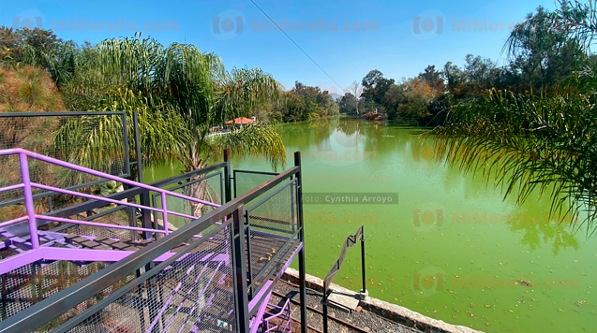 Casi lista, tirolesa del Zoo de Morelia y así se ve