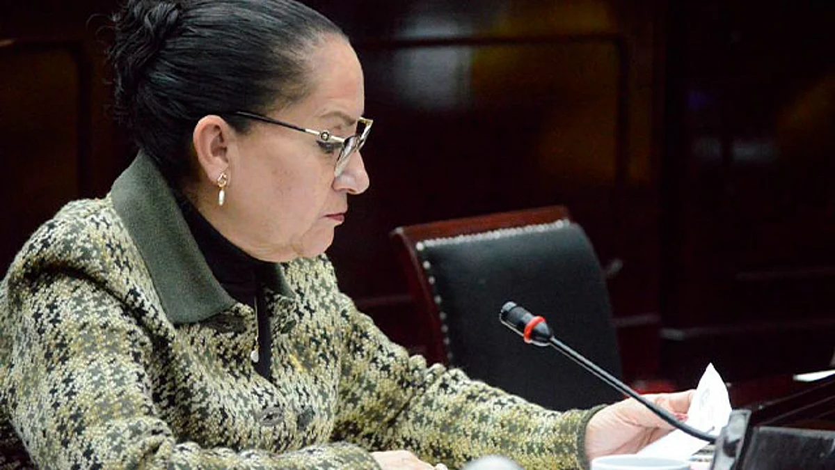 La legisladora recordó que 2023 se prevé un año particularmente difícil debido al contexto internacional