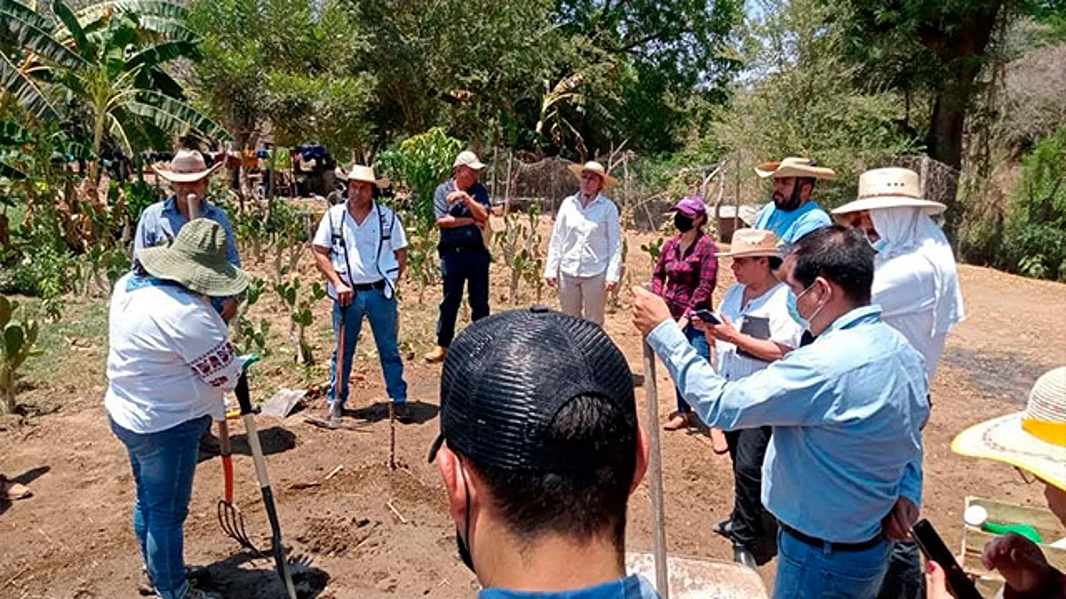 La Secretaría de Agricultura y Desarrollo Rural tendrá un presupuesto de 745 millones 362 mil 888 pesos