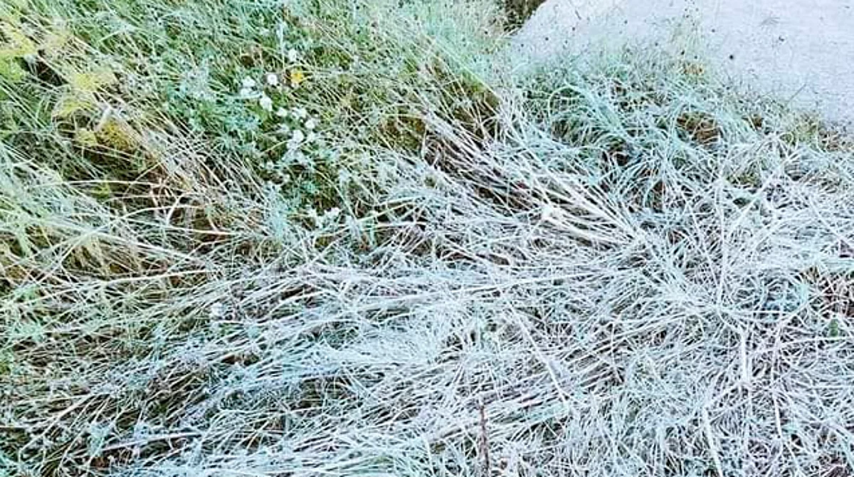 Hasta -15°C prevén por heladas en Chihuahua, Coahuila y Nuevo León