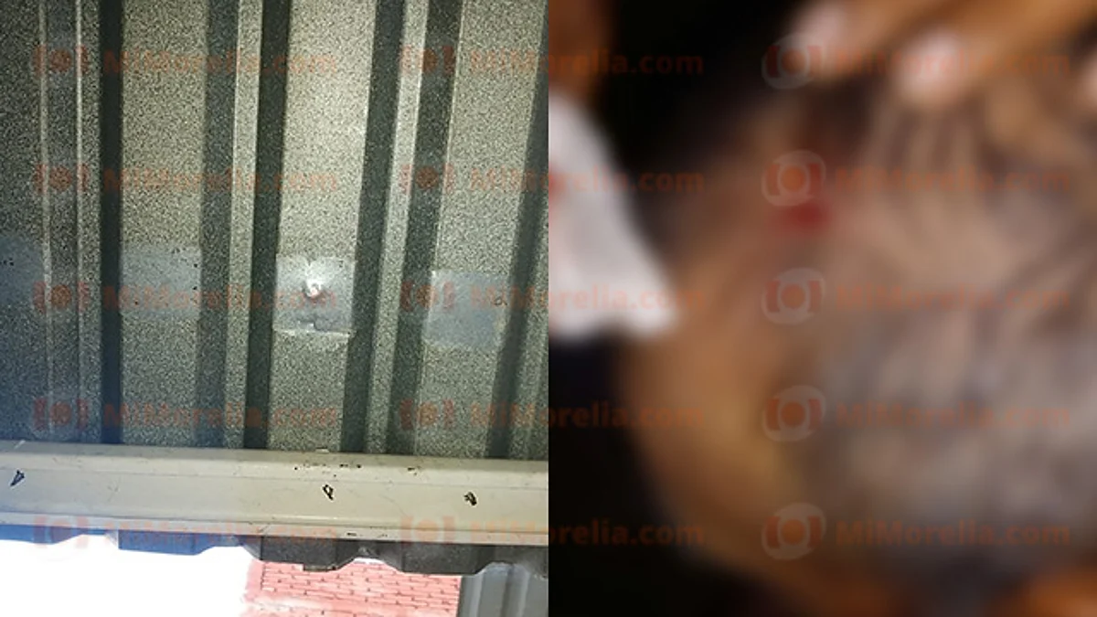 Michoacán: bala perdida deja herido a un hombre que disfrutaba de Nochebuena