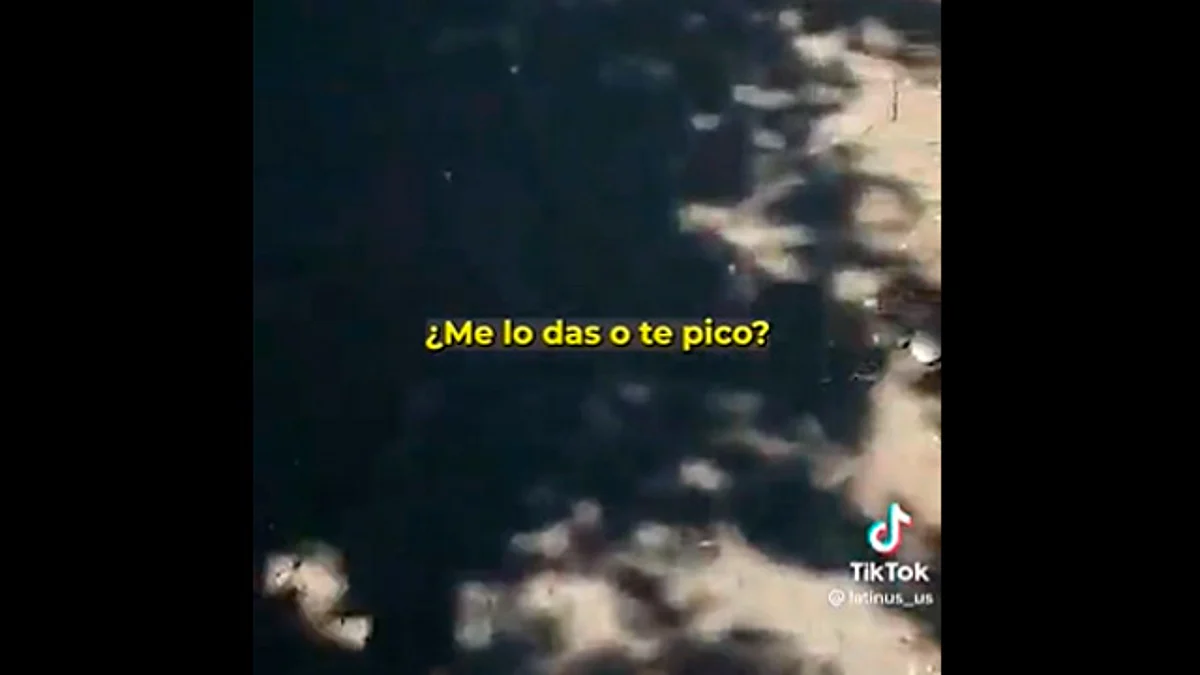 DIF resguarda a niño que asaltaba en Toluca; era amenazado por un adulto