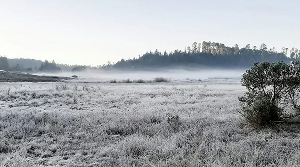 A días de Navidad, primera helada pinta de blanco en Michoacán