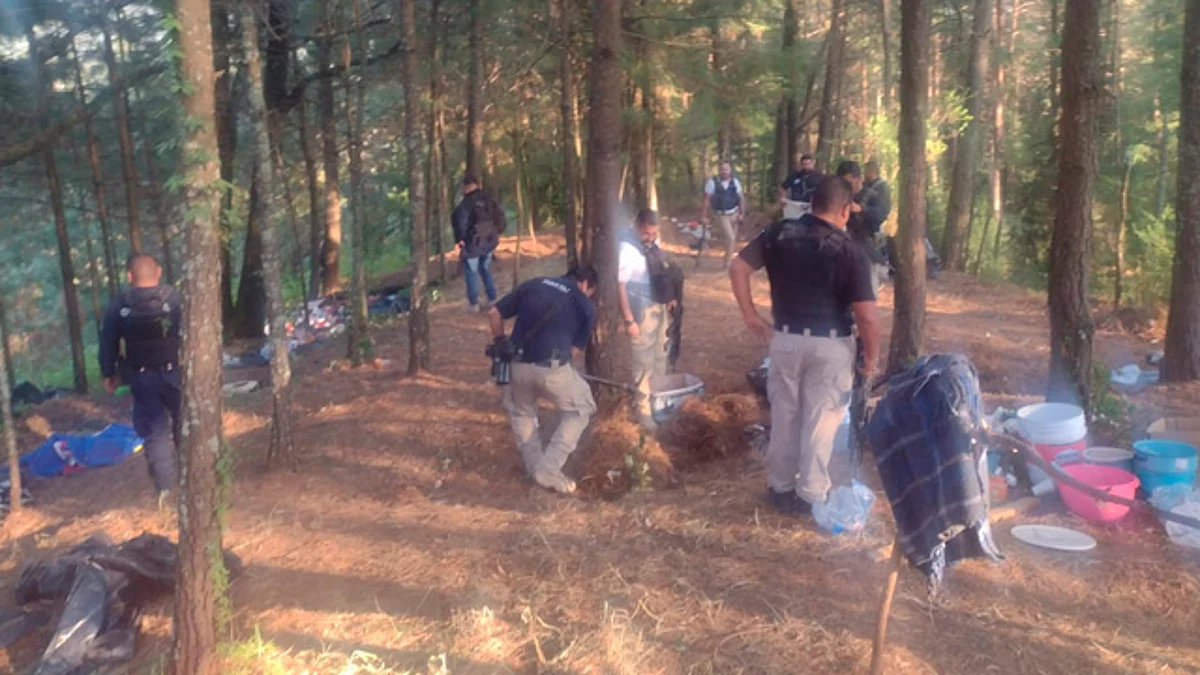 Guardia Civil y FGE desmantelan presunto campamento ilícito en Ocampo