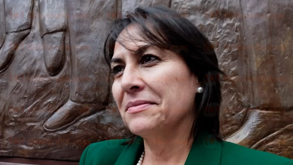 No hubo imposición del PAN para votar presupuesto de Michoacán: Lariza Pérez