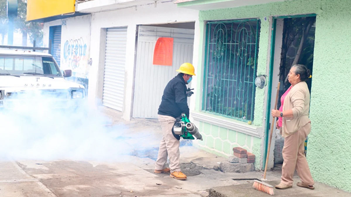 Cerrará Michoacán 2022 con descenso del 25% en casos de dengue