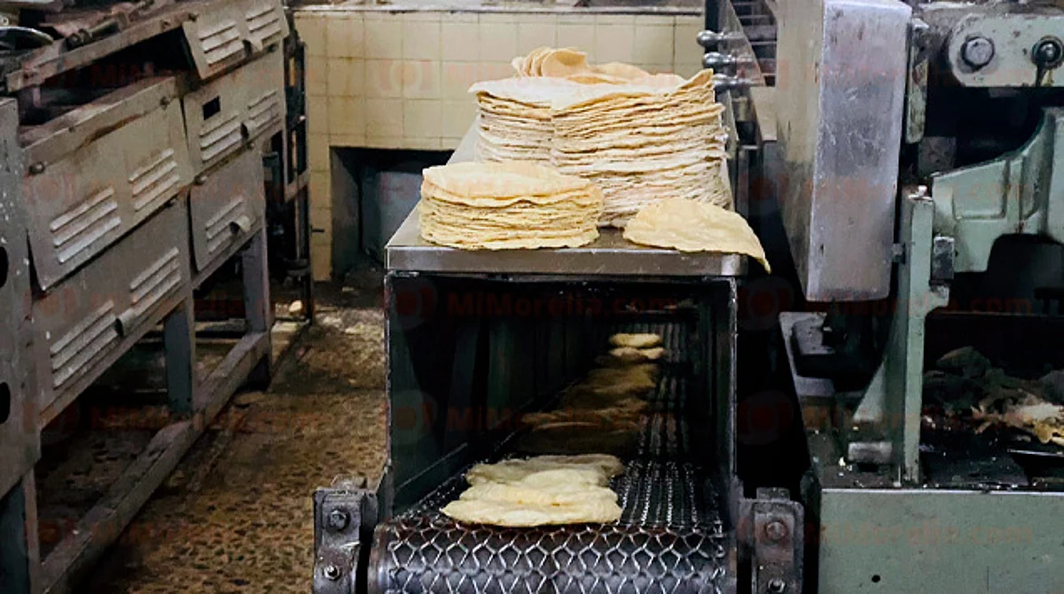 Incrementaría precio de la tortilla en Michoacán para 2023: CIMMYT
