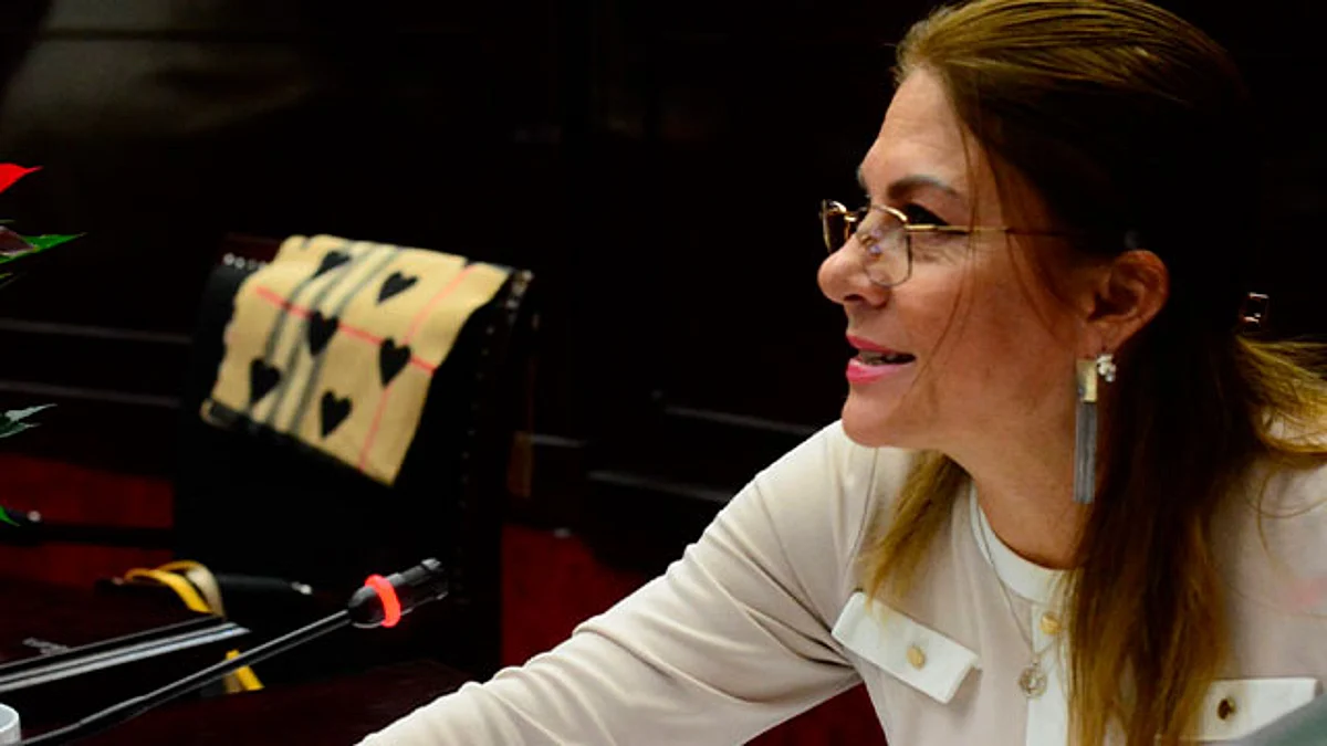 Centros de rehabilitación no deben dejar de operar: Luz García