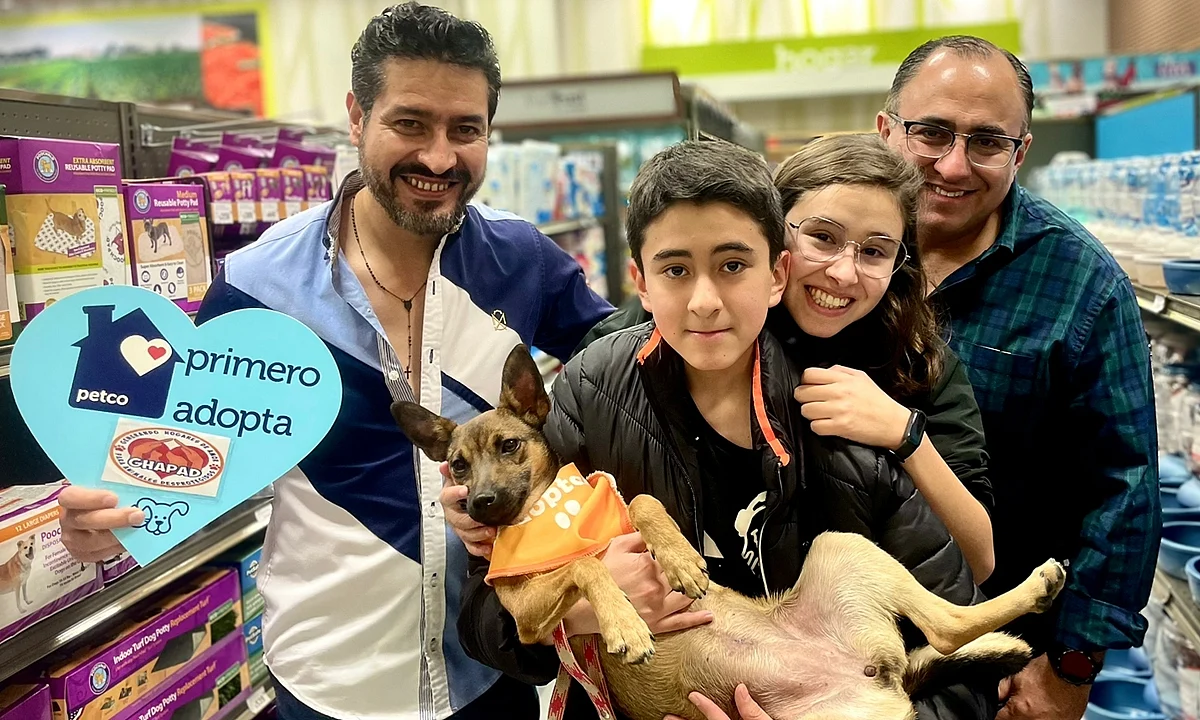 Dos perritos adoptados y 10 en proceso deja feria de adopción de Ghapad