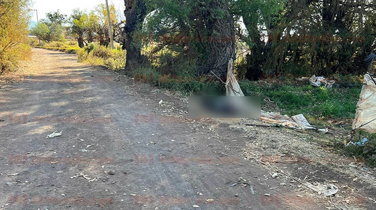 Michoacán: sale a buscar a su hermano y lo encuentra ahogado en un río