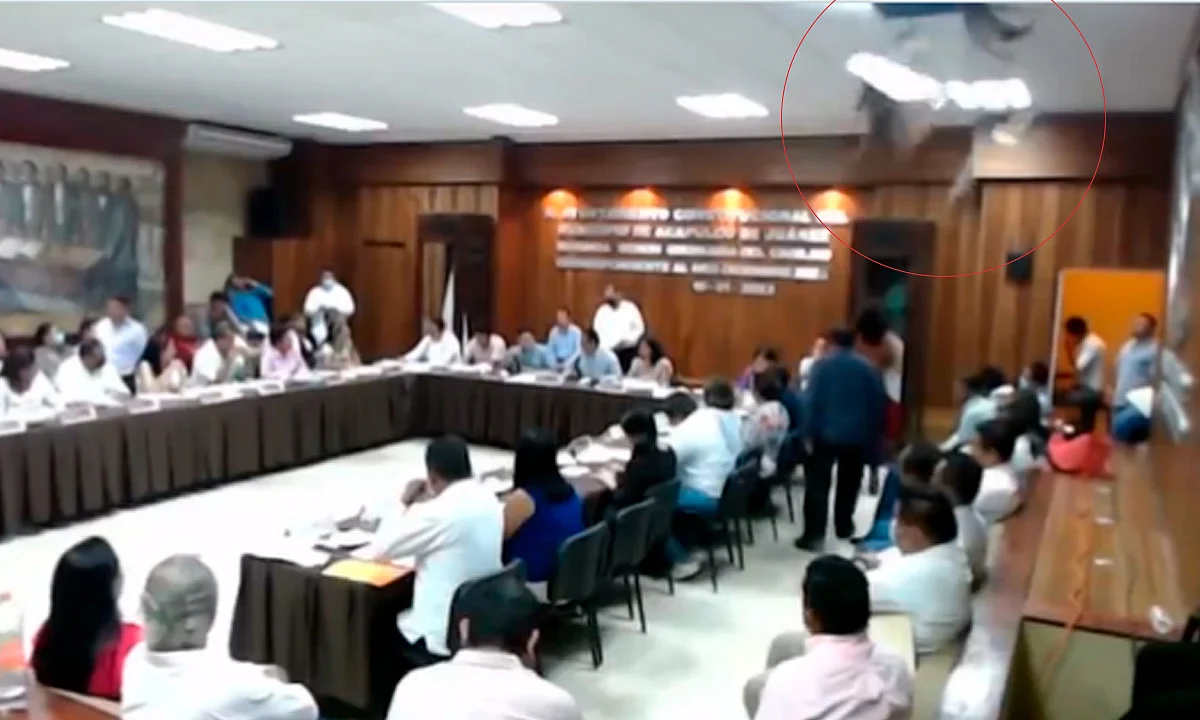Caen mapaches del techo durante sesión de cabildo en Acapulco