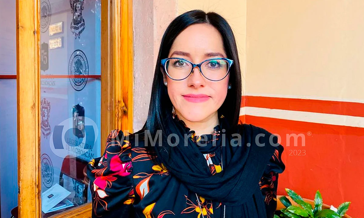 Presupuestos para mujeres candidatas son menores del 3%: IEM