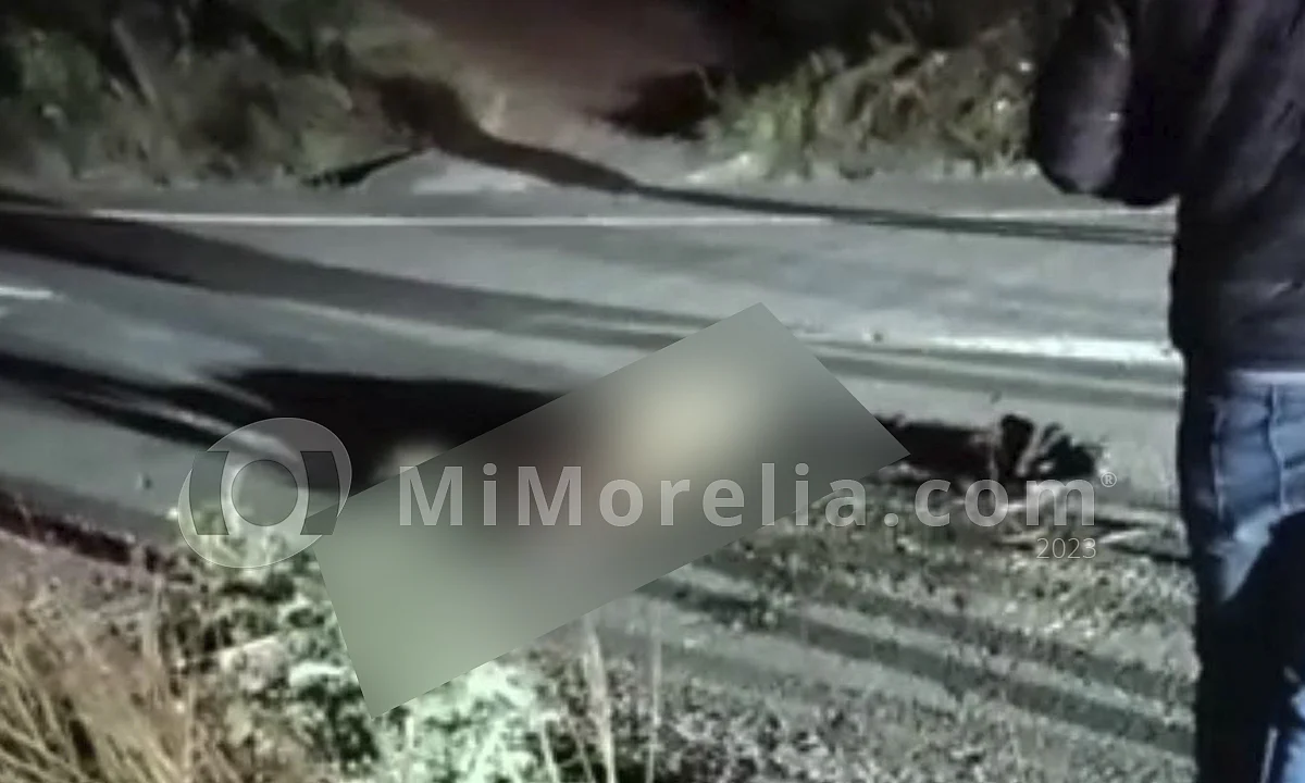 Abandonan sobre la autopista Siglo XXI a un hombre ejecutado