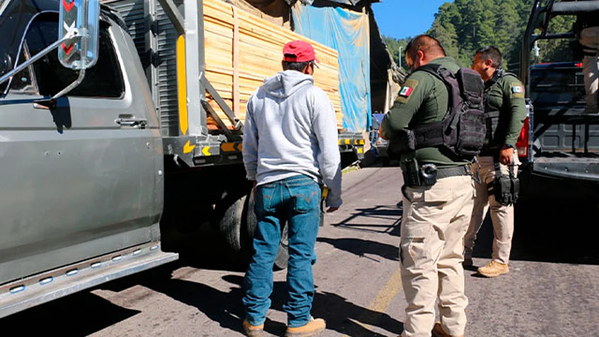 También fueron recuperadas más de 70 aves protegidas, decomisados 75 vehículos utilizados en delitos contra el medio ambiente y detuvieron a 37 personas